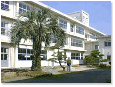 ����̎ʐ^�ł����E�E�f���ւ̃����N�ł�